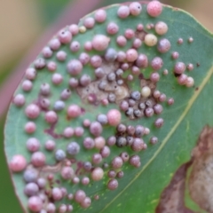 Unverified at suppressed - suppressed