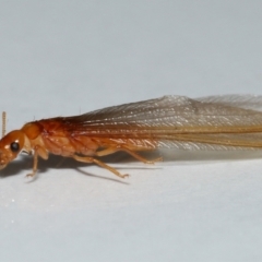 Unverified at suppressed - suppressed