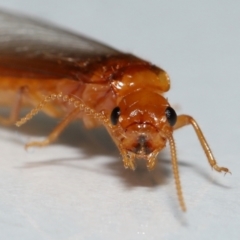 Unverified at suppressed - suppressed