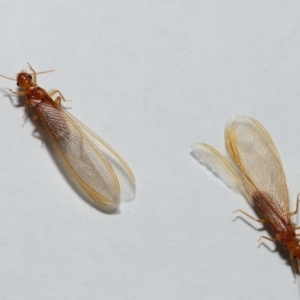 Unverified at suppressed - suppressed