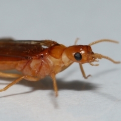 Unverified at suppressed - suppressed