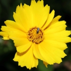 Unverified at suppressed - suppressed