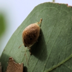 Unverified at suppressed - suppressed