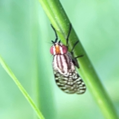 Unverified at suppressed - suppressed