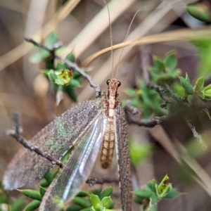 Unidentified at suppressed - 22 Dec 2023