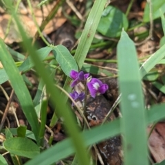 Glycine tabacina at Koorawatha, NSW - 27 Dec 2023 02:42 PM