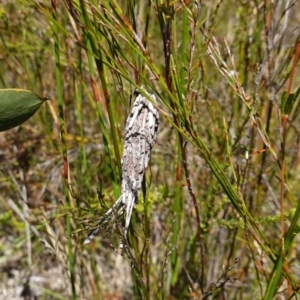 Unidentified at suppressed - 21 Jan 2023