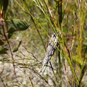 Unidentified at suppressed - 21 Jan 2023