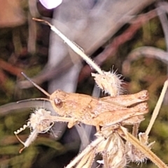 Unverified at suppressed - suppressed