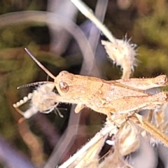 Unverified at suppressed - suppressed