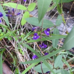 Glycine tabacina (Variable Glycine) at Lions Youth Haven - Westwood Farm A.C.T. - 4 Jan 2024 by HelenCross