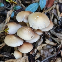 Unverified at suppressed - suppressed