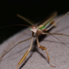 Unverified at suppressed - suppressed