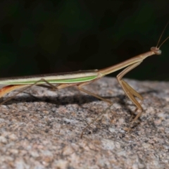 Unverified at suppressed - suppressed