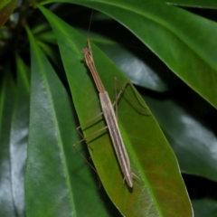 Unverified at suppressed - suppressed