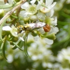 Unverified at suppressed - suppressed