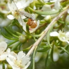 Unverified at suppressed - suppressed