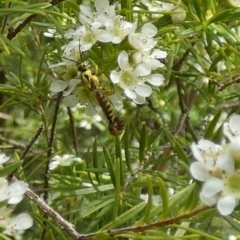 Unverified at suppressed - suppressed