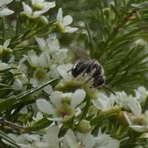 Unverified at suppressed - suppressed