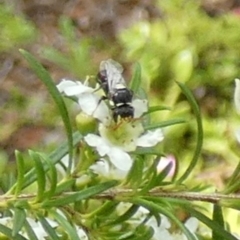 Unverified at suppressed - suppressed