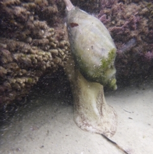 Unverified at suppressed - suppressed