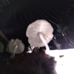 Unverified at suppressed - suppressed