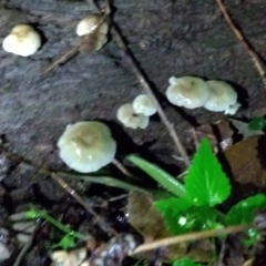 Unverified at suppressed - suppressed