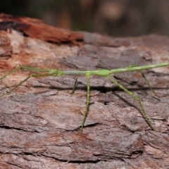 Unverified at suppressed - suppressed