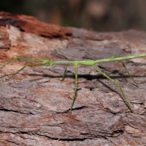 Unidentified at suppressed - 11 Jan 2024