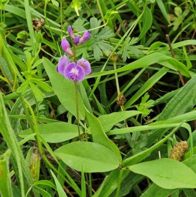 Glycine tabacina (Variable Glycine) at Weetangera, ACT - 13 Jan 2024 by sangio7