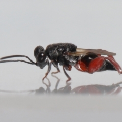 Unverified at suppressed - suppressed