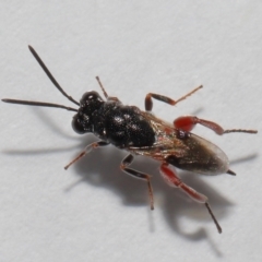 Unverified at suppressed - suppressed