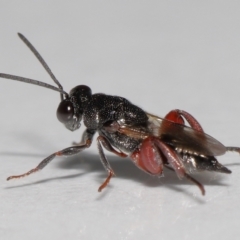 Unverified at suppressed - suppressed