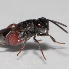 Unverified at suppressed - suppressed