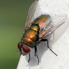 Unverified at suppressed - suppressed