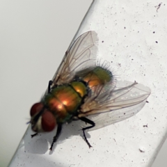 Unverified at suppressed - suppressed