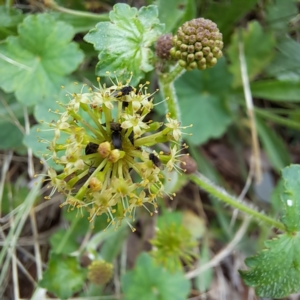 Unverified at suppressed - suppressed