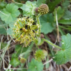 Unverified at suppressed - suppressed