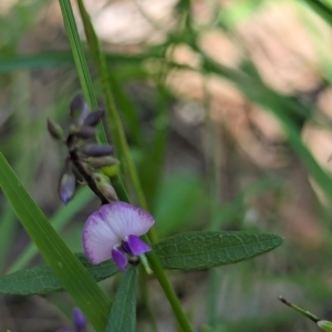 Unidentified at suppressed - 20 Jan 2024