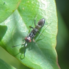 Unverified at suppressed - suppressed