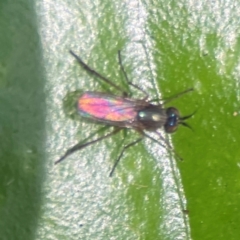 Unverified at suppressed - suppressed