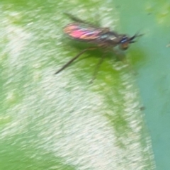 Unverified at suppressed - suppressed