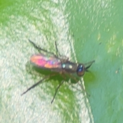 Unverified at suppressed - suppressed