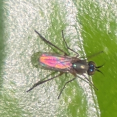 Unverified at suppressed - suppressed