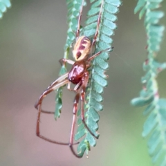 Unidentified at suppressed - 25 Jan 2024