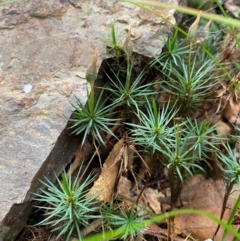 Unverified at suppressed - suppressed