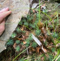 Unverified at suppressed - suppressed