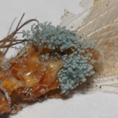 Unverified at suppressed - suppressed