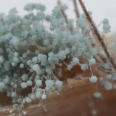 Unverified at suppressed - suppressed