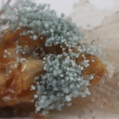 Unverified at suppressed - suppressed